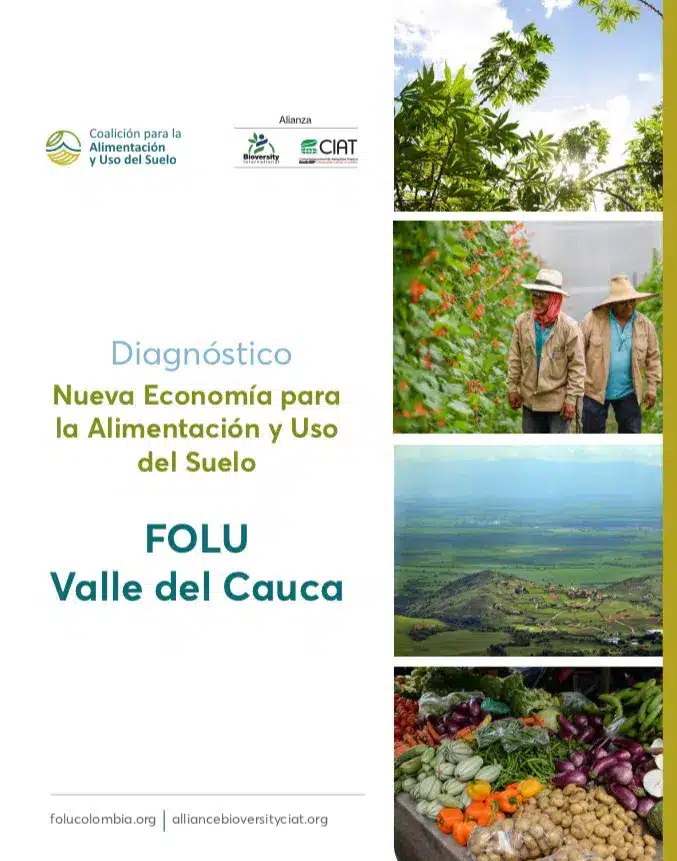 FOLU-Valle-del-Cauca-Cali