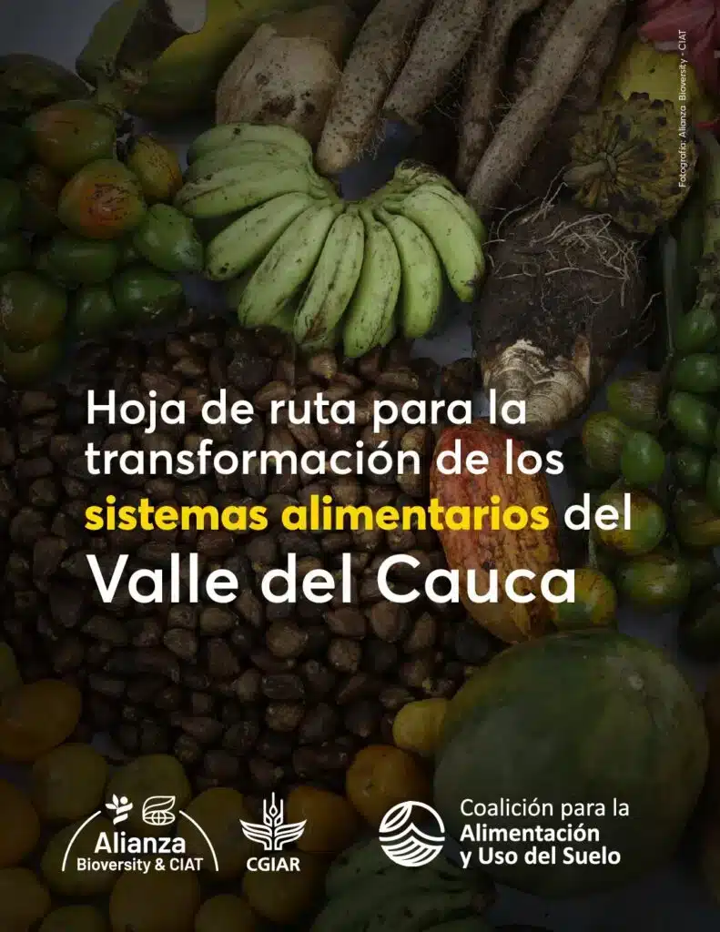 FOLU-Valle-del-Cauca-pdf-791x1024-1