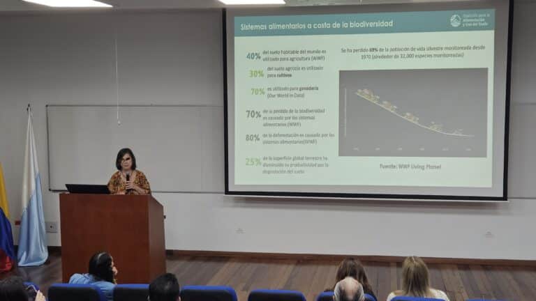 Valle del Cauca Regeneracion1